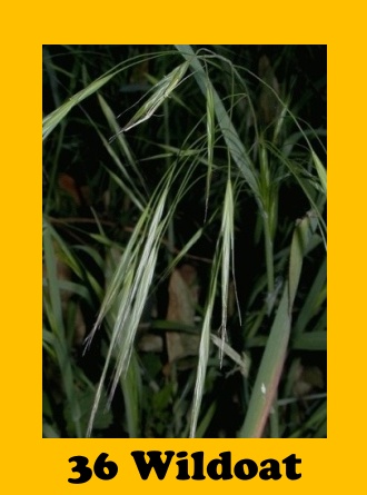 G01
